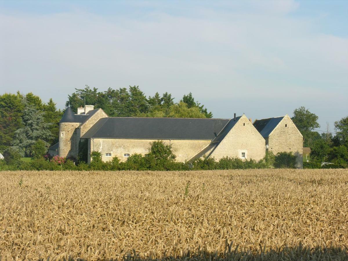 Bed and Breakfast Ferme De Savigny La Cambe Exterior foto