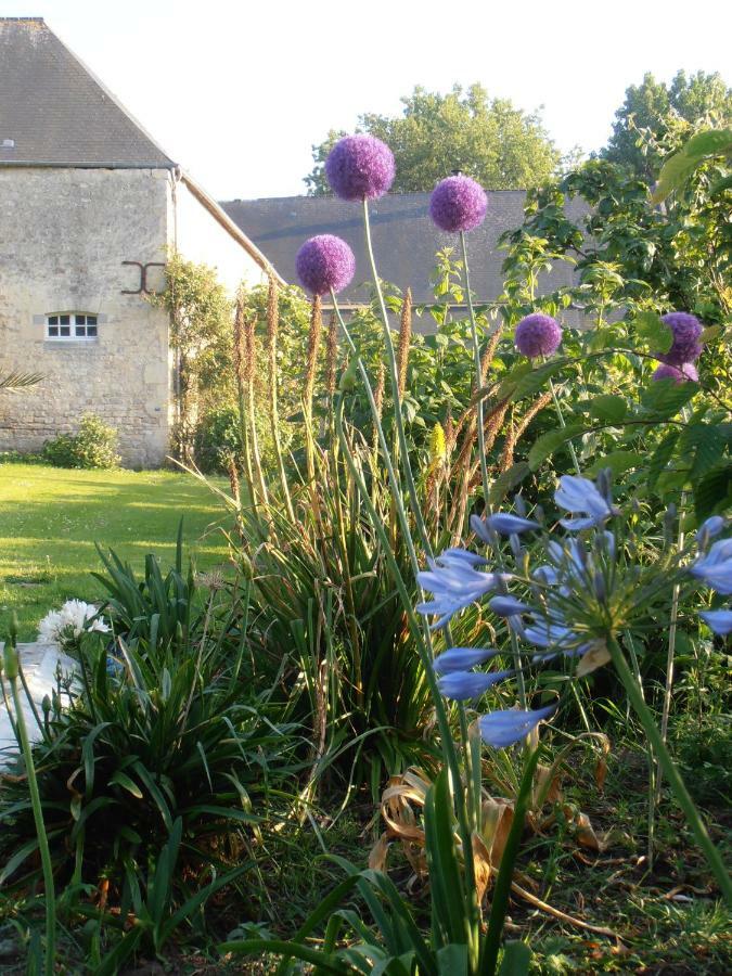 Bed and Breakfast Ferme De Savigny La Cambe Exterior foto